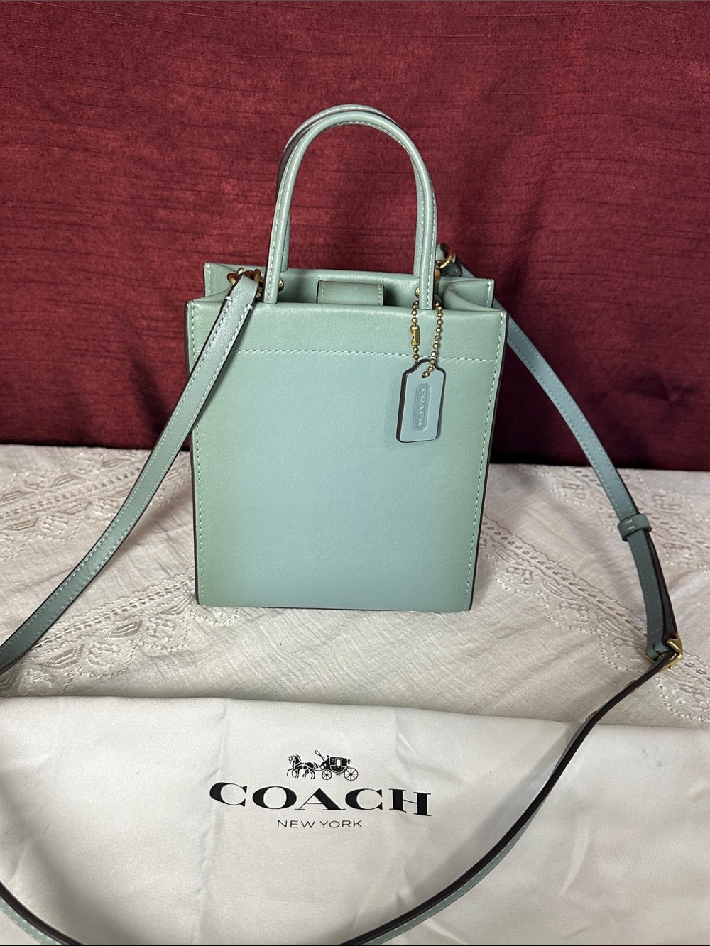 Coach Mini Cashin Tote Sage Glovetanned Leather Crossbody C4828 🩵